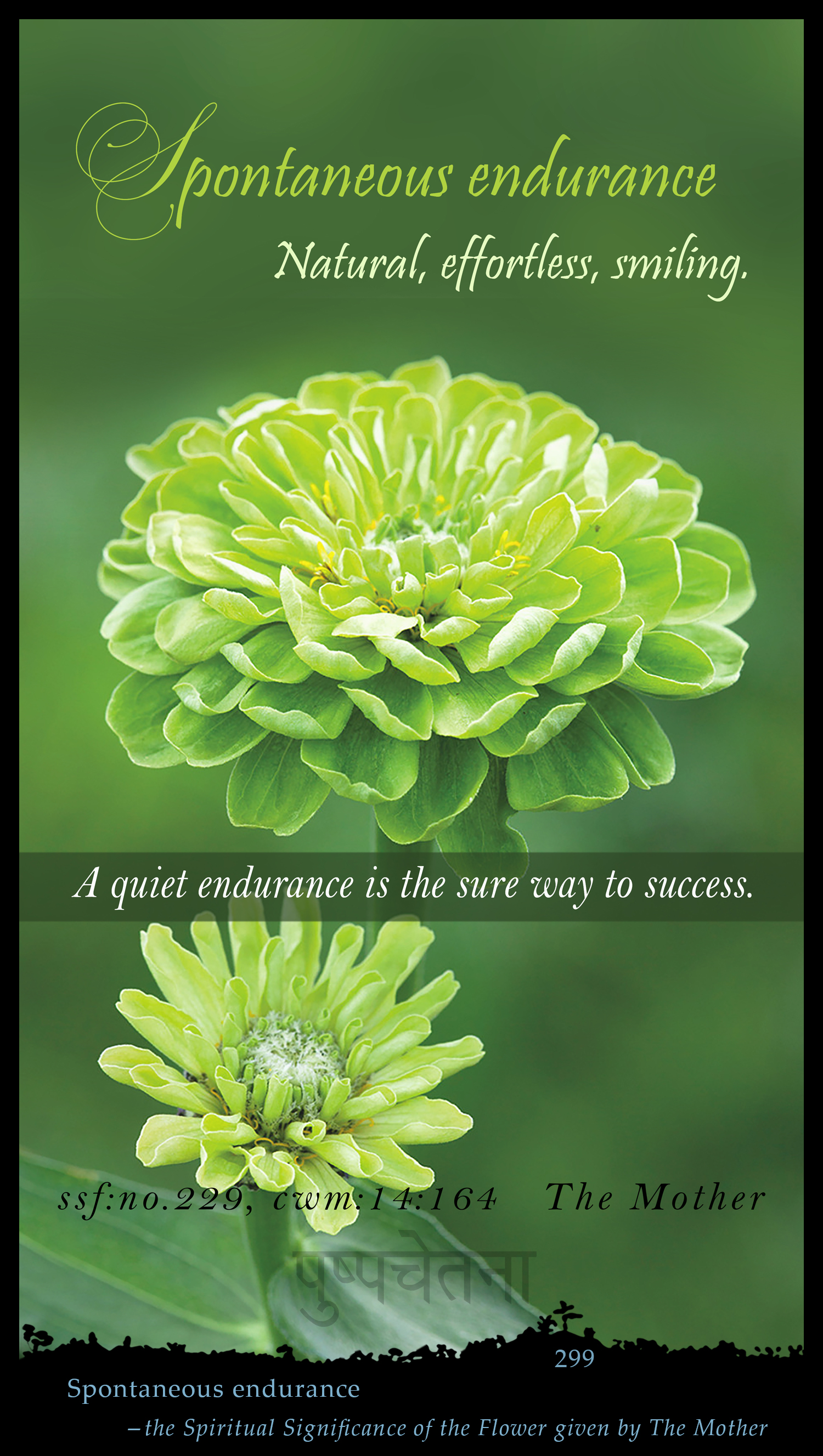 Spontaneous Endurance